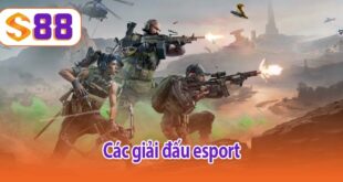 Các giải đấu esport