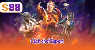 Cách chơi Esport