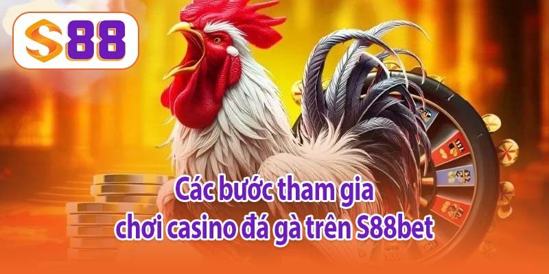 Các bước tham gia chơi casino đá gà trên S88bet