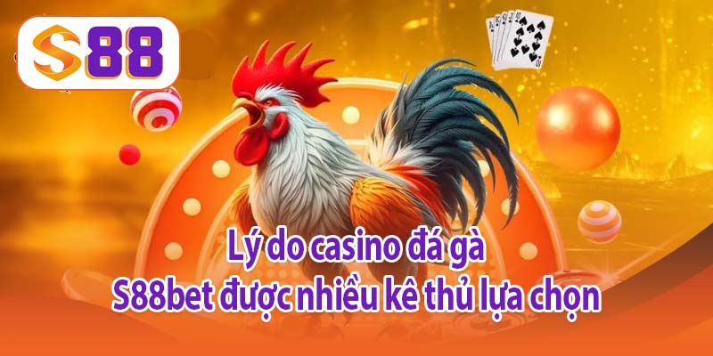 Lý do casino đá gà S88bet được nhiều kê thủ lựa chọn