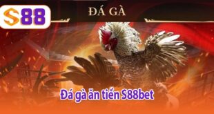 Đá gà ăn tiền