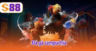 Đá gà Campuchia