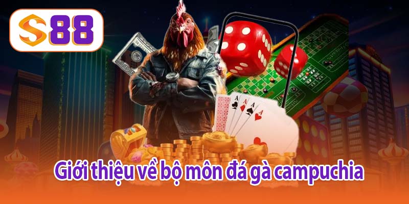 Giới thiệu về bộ môn đá gà campuchia