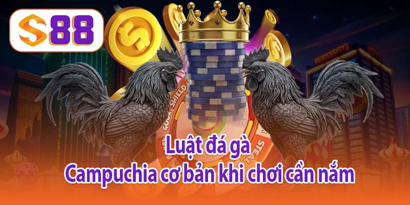 Luật đá gà Campuchia cơ bản khi chơi cần nắm