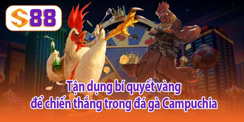 Tận dụng bí quyết vàng để chiến thắng trong đá gà Campuchia