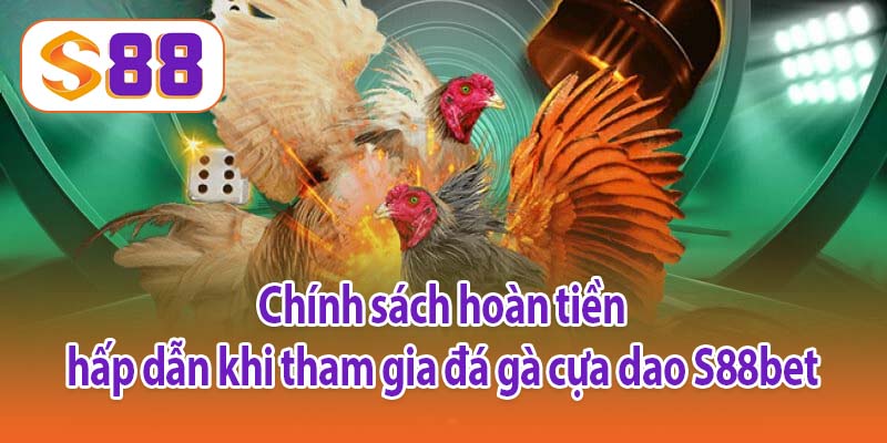 Chính sách hoàn tiền hấp dẫn khi tham gia đá gà cựa dao S88bet