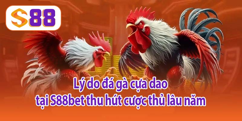 Lý do đá gà cựa dao tại S88bet thu hút cược thủ lâu năm