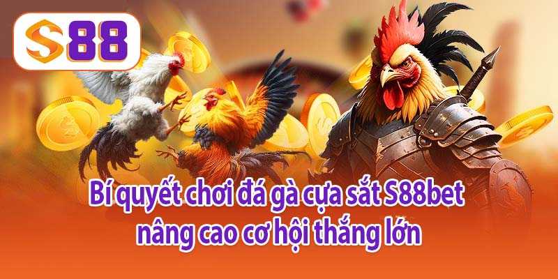 Bí quyết chơi đá gà cựa sắt S88bet nâng cao cơ hội thắng lớn