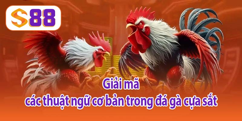 Giải mã nhanh các thuật ngữ cơ bản trong đá gà cựa sắt