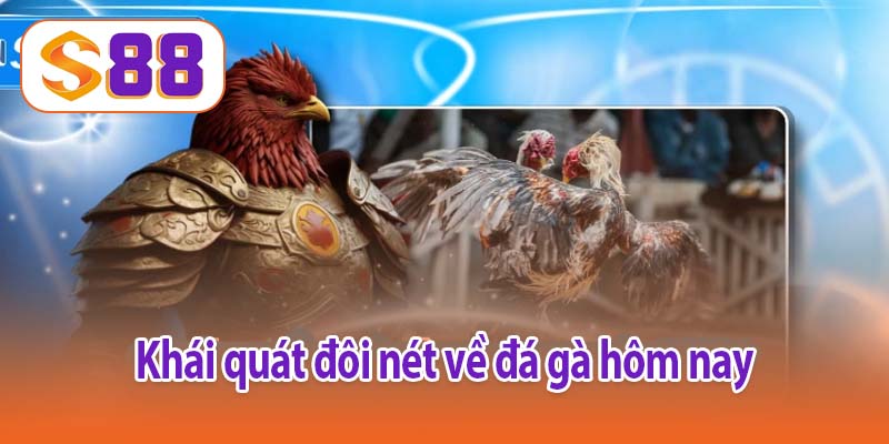 Khái quát đôi nét về đá gà hôm nay