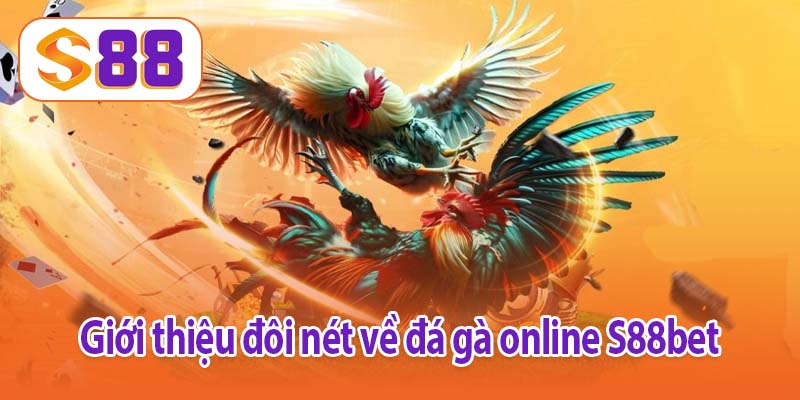 Giới thiệu đôi nét về đá gà online S88bet