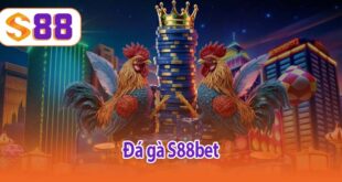 Đá gà S88bet