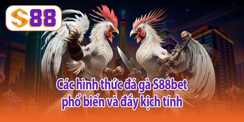 Các hình thức đá gà S88bet phổ biến và đầy kịch tính