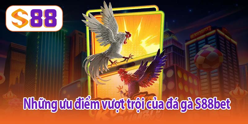 Những ưu điểm vượt trội của đá gà S88bet