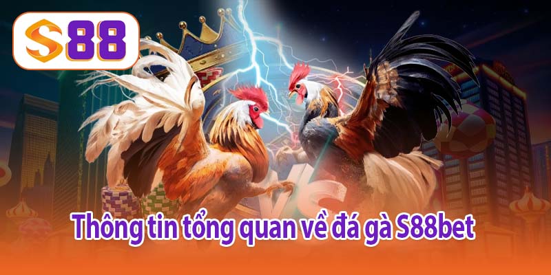 Thông tin tổng quan về đá gà S88bet 