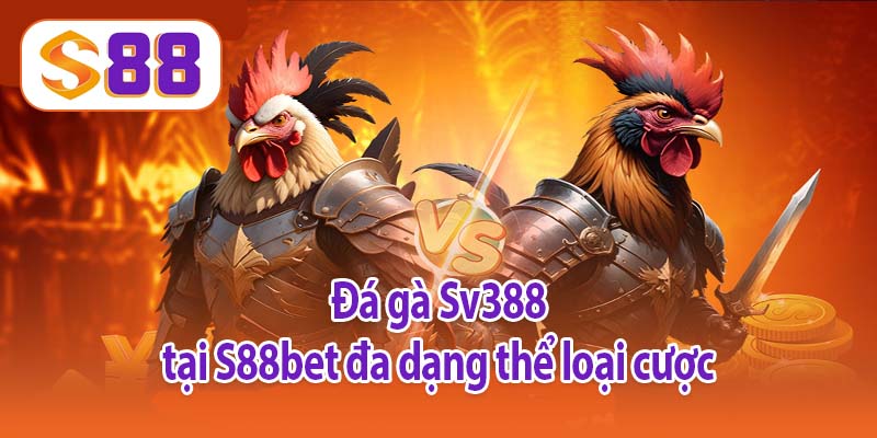 Đá gà Sv388 tại S88bet đa dạng thể loại cược
