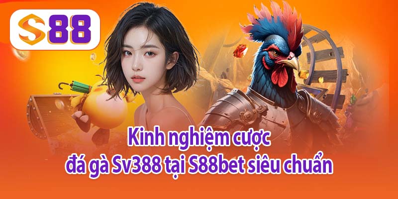 Kinh nghiệm cược đá gà Sv388 tại S88bet siêu chuẩn