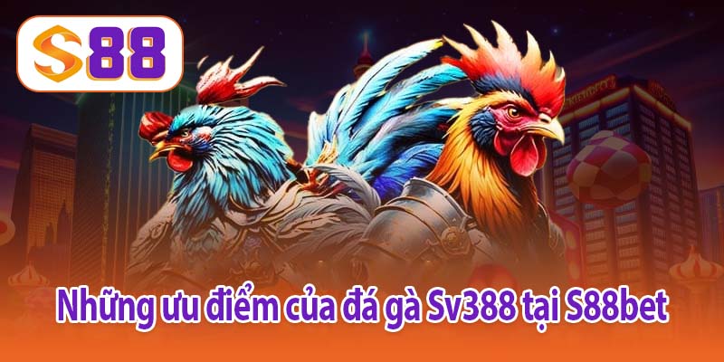 Những ưu điểm của đá gà Sv388 tại S88bet