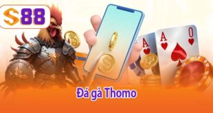 Đá gà Thomo
