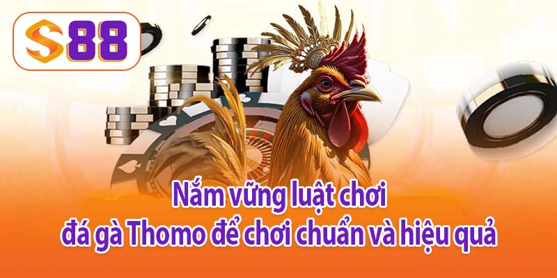 Nắm vững luật chơi đá gà Thomo để chơi chuẩn và hiệu quả