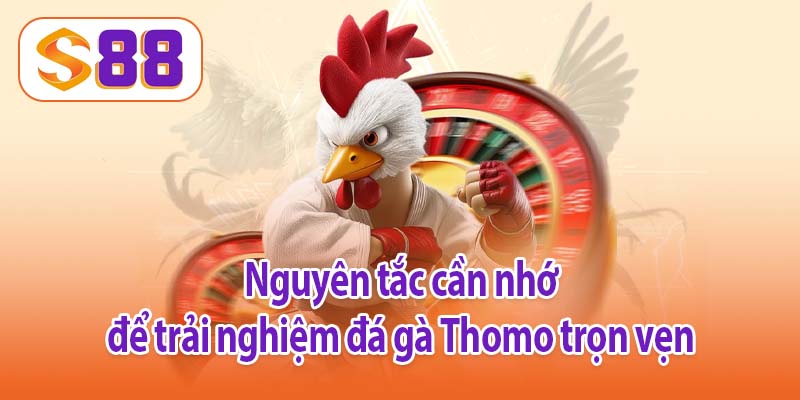 Nguyên tắc cần nhớ để trải nghiệm đá gà Thomo trọn vẹn