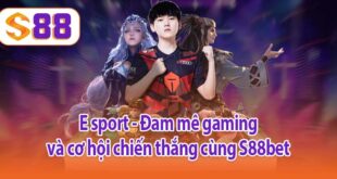 E sport