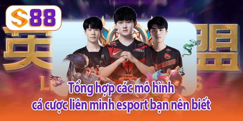 Tổng hợp các mô hình cá cược liên minh esport bạn nên biết