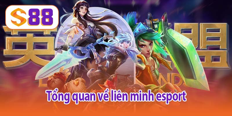 Tổng quan về liên minh esport