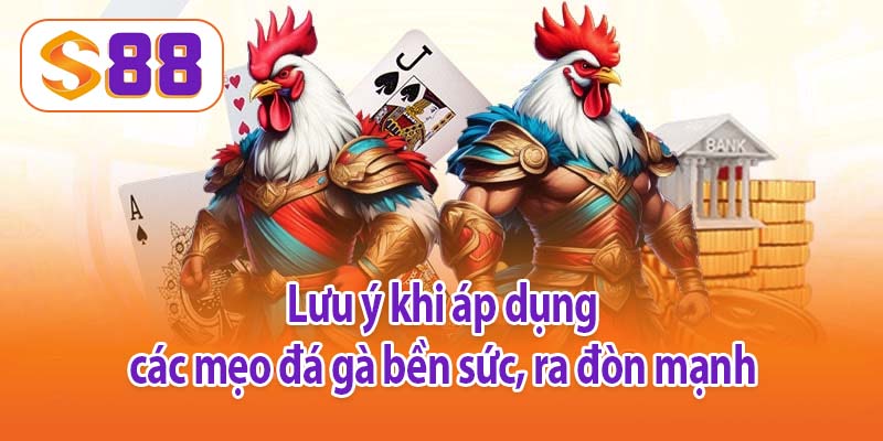 Lưu ý khi áp dụng các mẹo đá gà bền sức, ra đòn mạnh