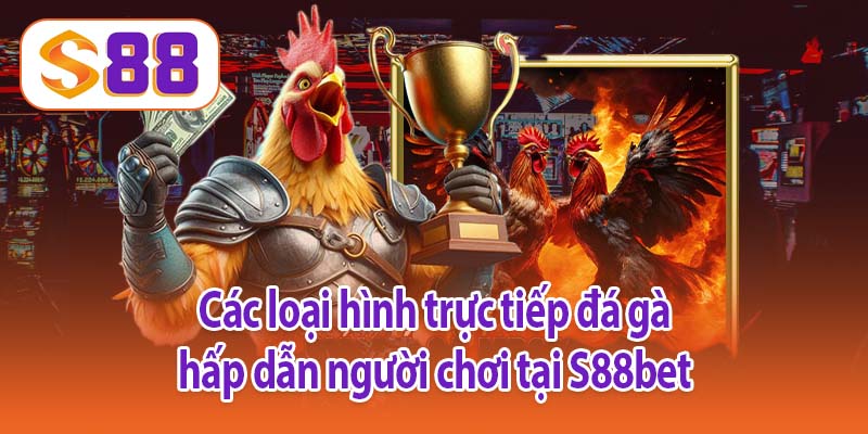 Các loại hình trực tiếp đá gà hấp dẫn người chơi tại S88bet