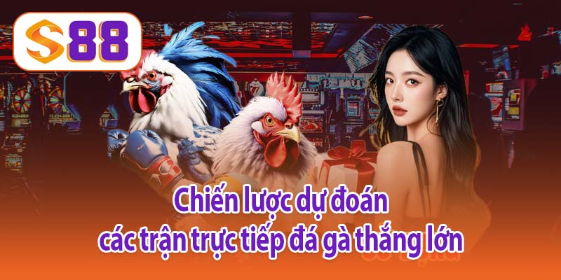 Chiến lược dự đoán các trận trực tiếp đá gà thắng lớn